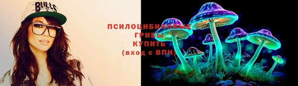 MESCALINE Аркадак
