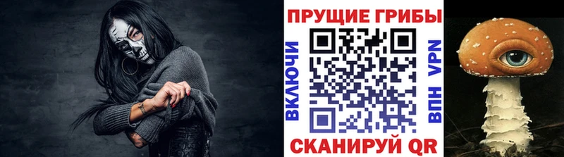 где найти наркотики  Углегорск  Псилоцибиновые грибы мицелий 