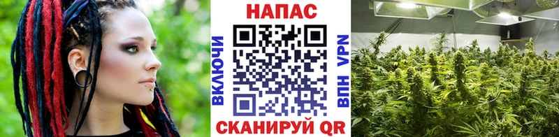Каннабис гибрид  Углегорск 